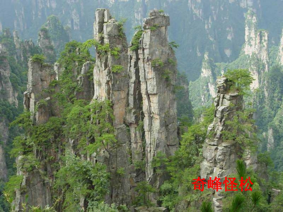 敬畏自然 (3)_第3页