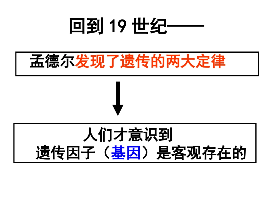 基因在染色体上_第2页