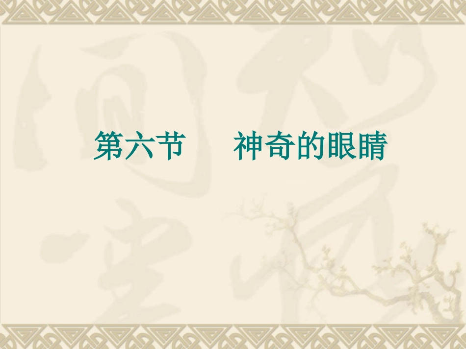 神奇的眼睛课件_第2页