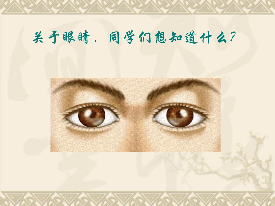 神奇的眼睛课件_第3页