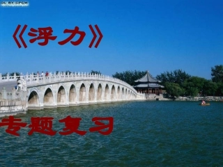 人教版八下物理第十章浮力复习课件（33张幻灯片）