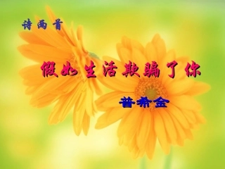 假如生活欺骗了你1