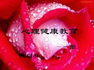 小学班会拒绝自私