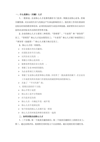核心人才保留计划