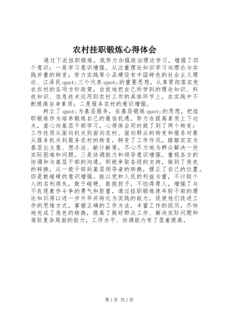 农村挂职锻炼体会心得