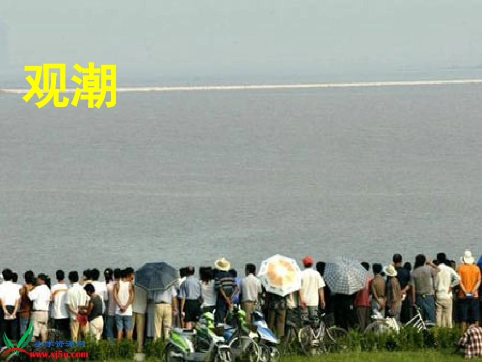 四上第一单元整体预习_第3页