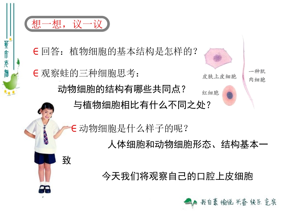 最新人教版213动物细胞_第1页