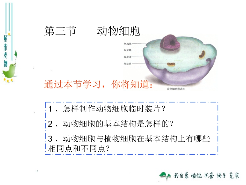 最新人教版213动物细胞_第2页