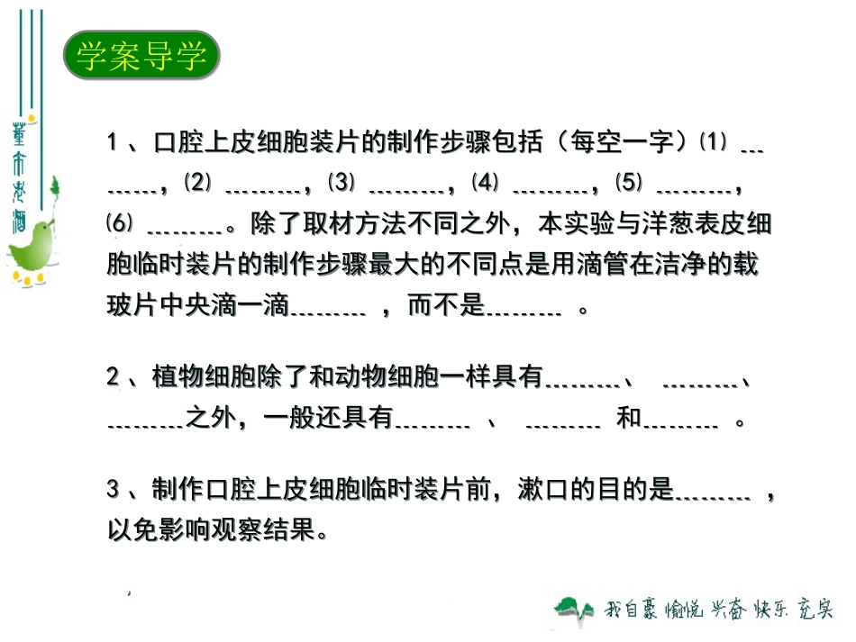 最新人教版213动物细胞_第3页