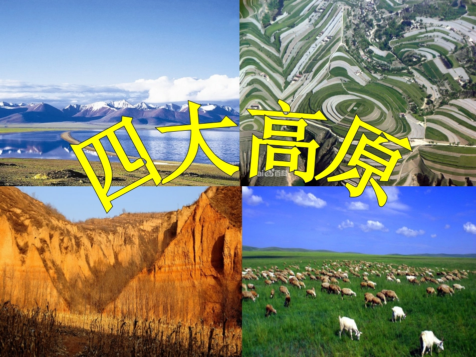 四大高原上传教师张利军_第1页