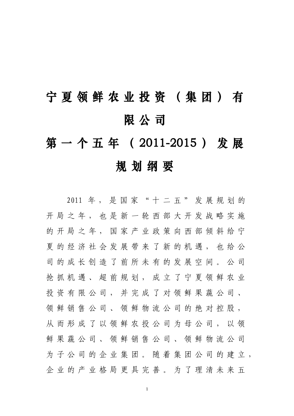 集团公司五年发展规划_第1页