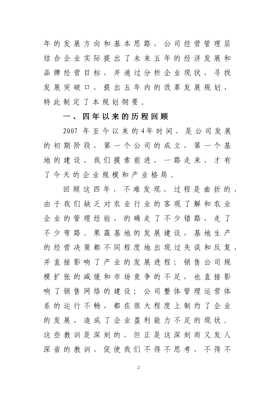 集团公司五年发展规划_第2页