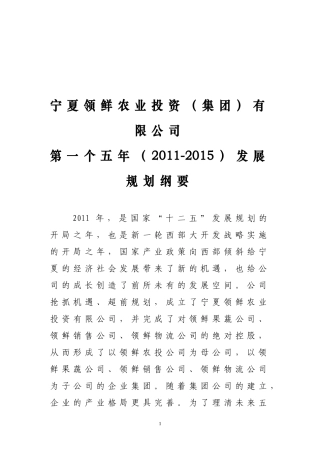 集团公司五年发展规划