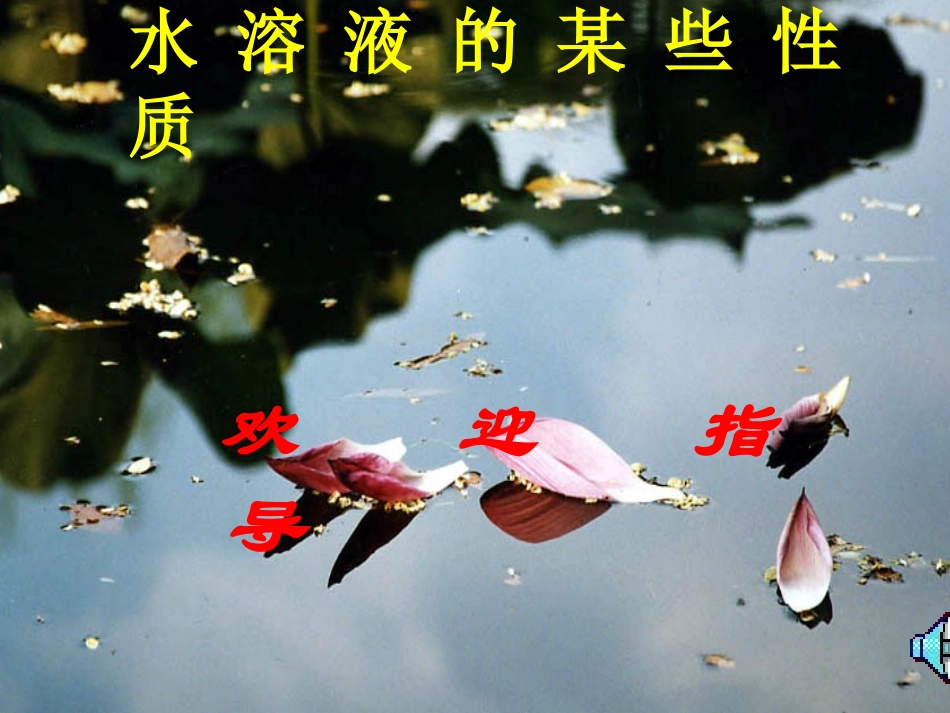 水溶液性质的课件_第1页