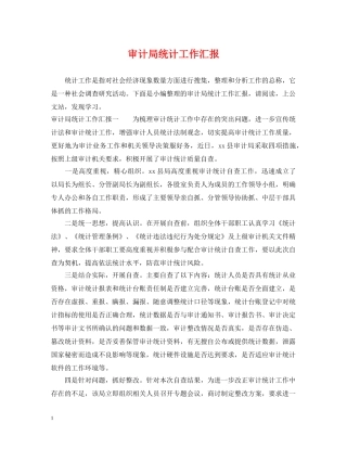 审计局统计工作汇报 