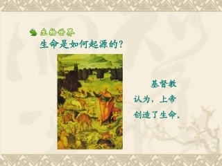 《生命的起源》课件3