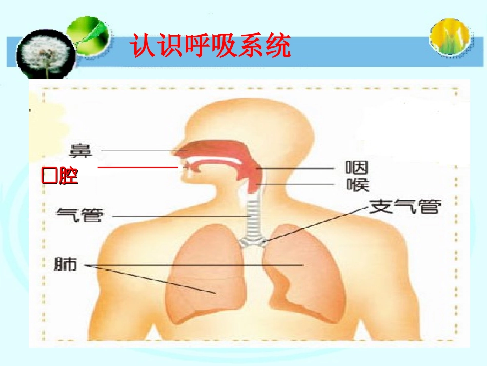 第一课我们在呼吸_第2页
