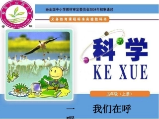 第一课我们在呼吸