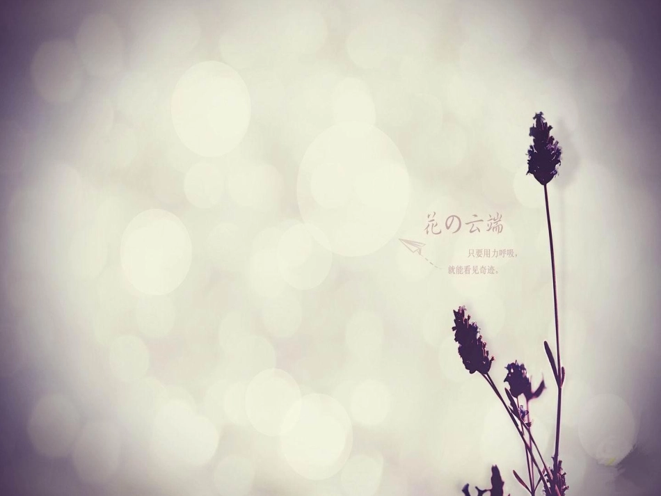 多媒体技术在教学中的应用_第1页