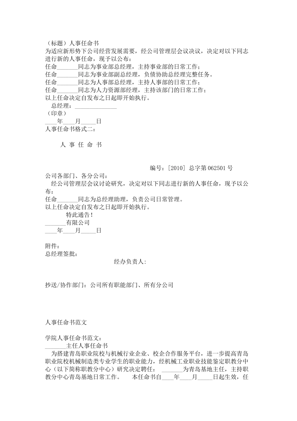 公司人事任命书格式范本_第2页