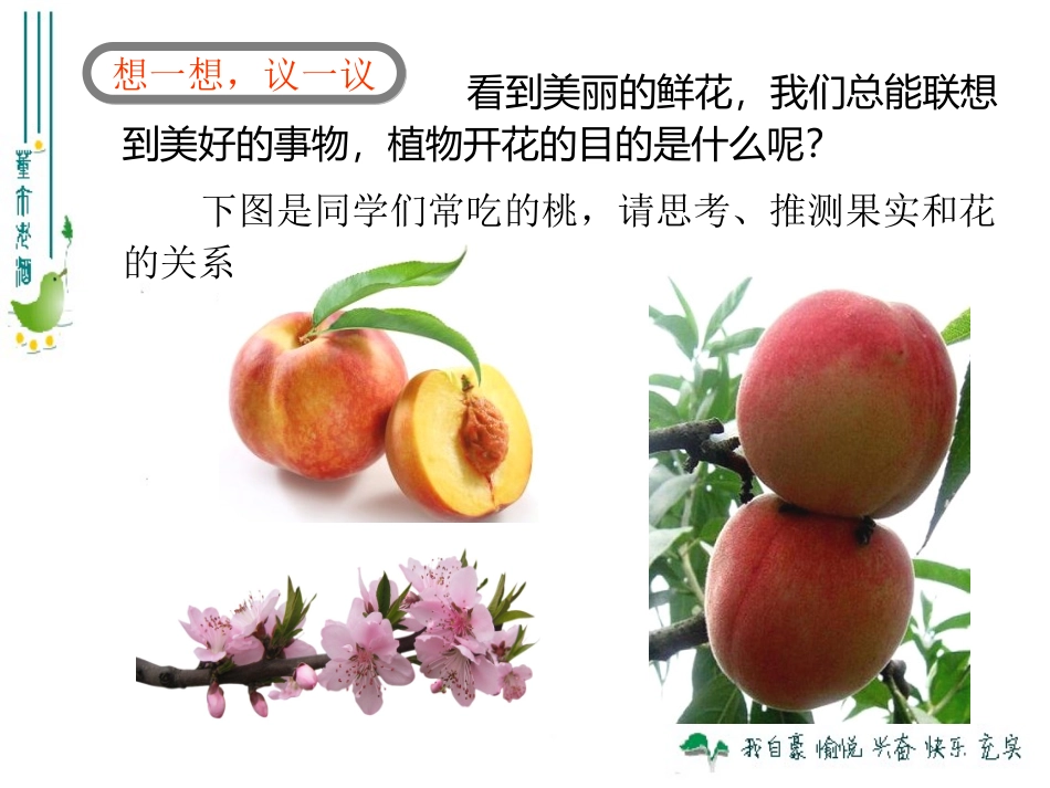 最新人教版323开花和结果_第3页