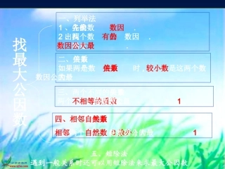 北师大版数学五年级上册《约分》
