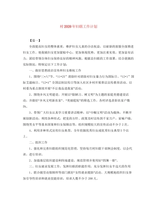 村年妇联工作计划