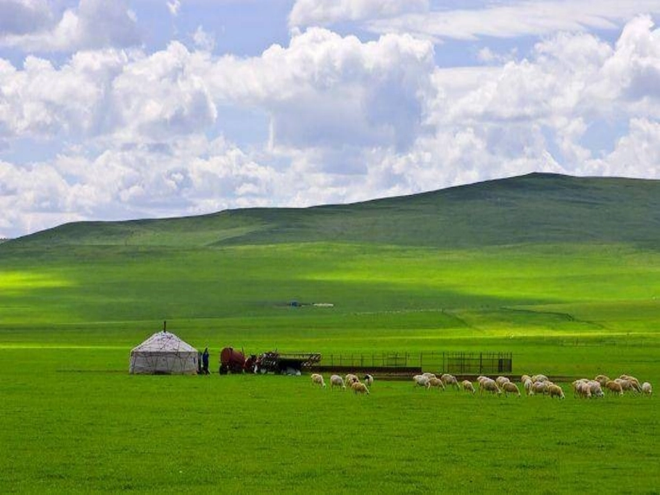 草原第一课时_第2页