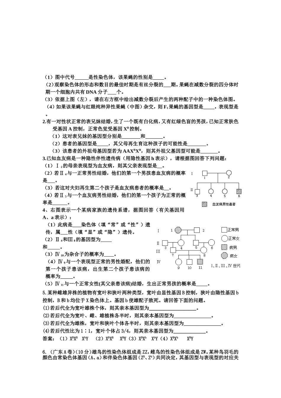 伴性遗传例题分析_第2页