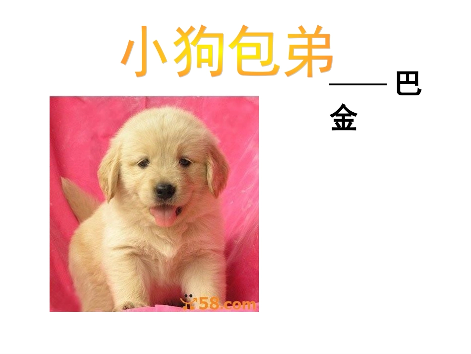 小狗包弟课件_第1页