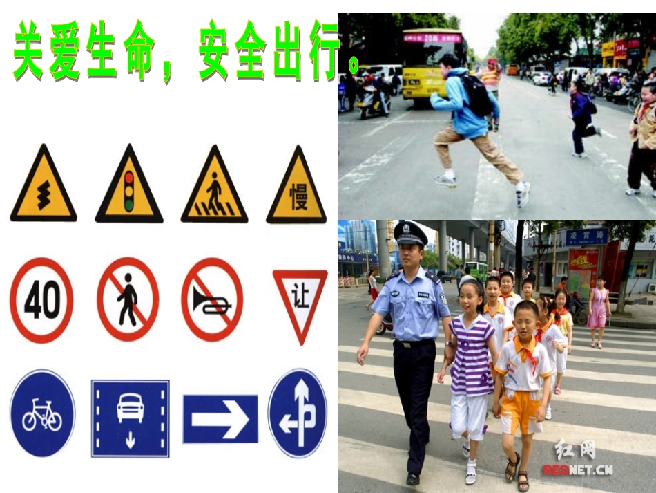 《生命与健康教育》专题复习_第2页