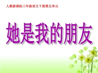 《她是我的朋友》教学课件2