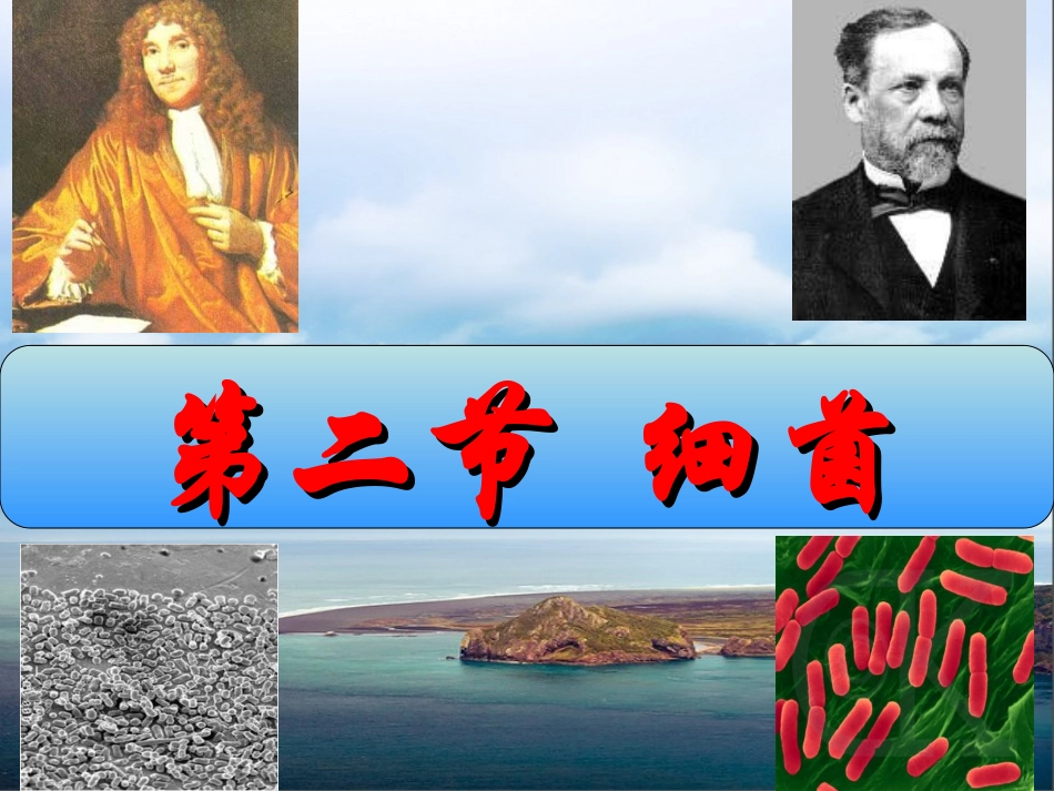第四章+第二节+细菌(57)-副本_第1页