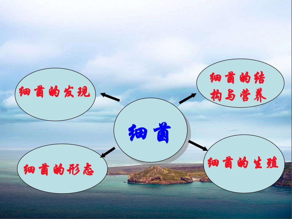 第四章+第二节+细菌(57)-副本_第3页