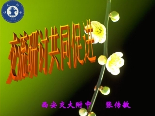 平面图形的镶嵌演示文稿