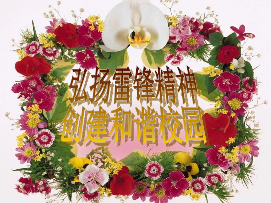 学雷锋，见行动_第2页