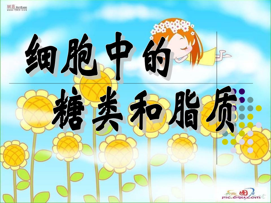 制作细胞中的糖类和脂质2_第1页