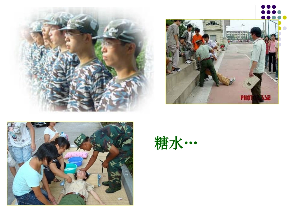 制作细胞中的糖类和脂质2_第3页