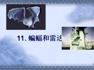蝙蝠和雷达上课用