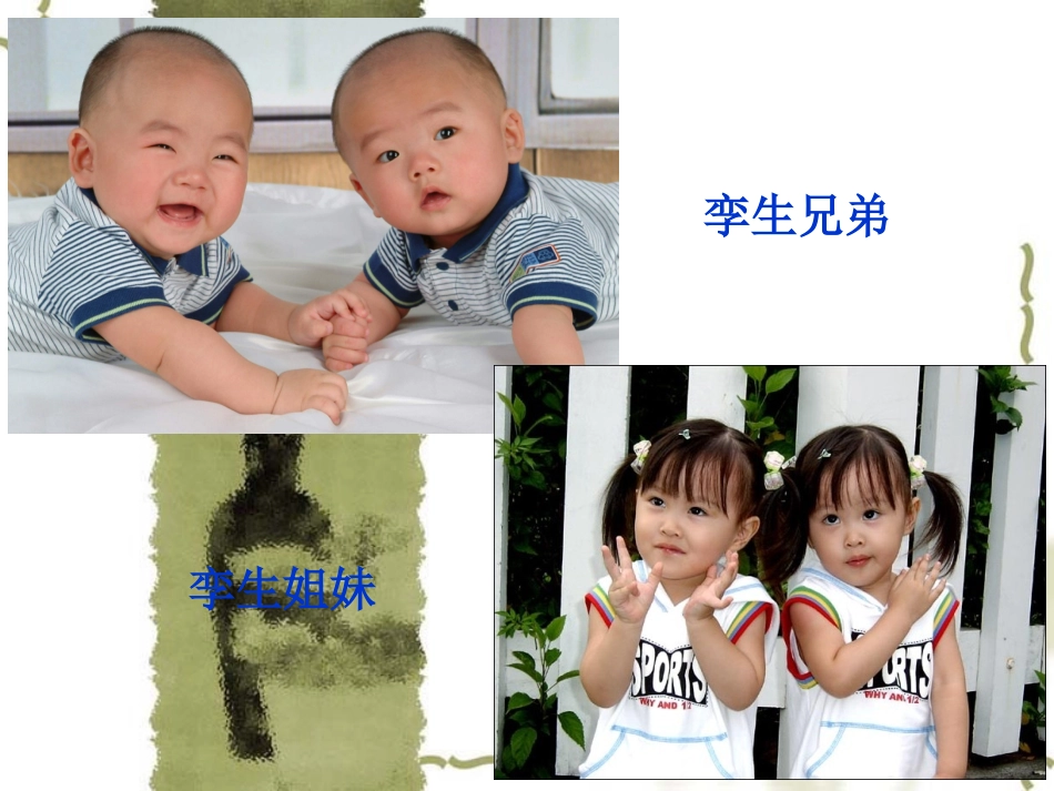 苏教版第十册语文《火星——地球的“孪生兄弟”》课件_第2页