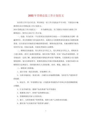 营销总监工作计划范文