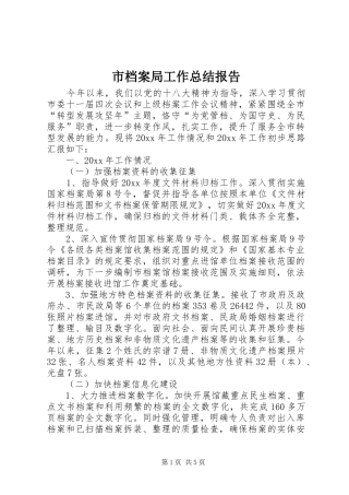 市档案局工作总结报告 