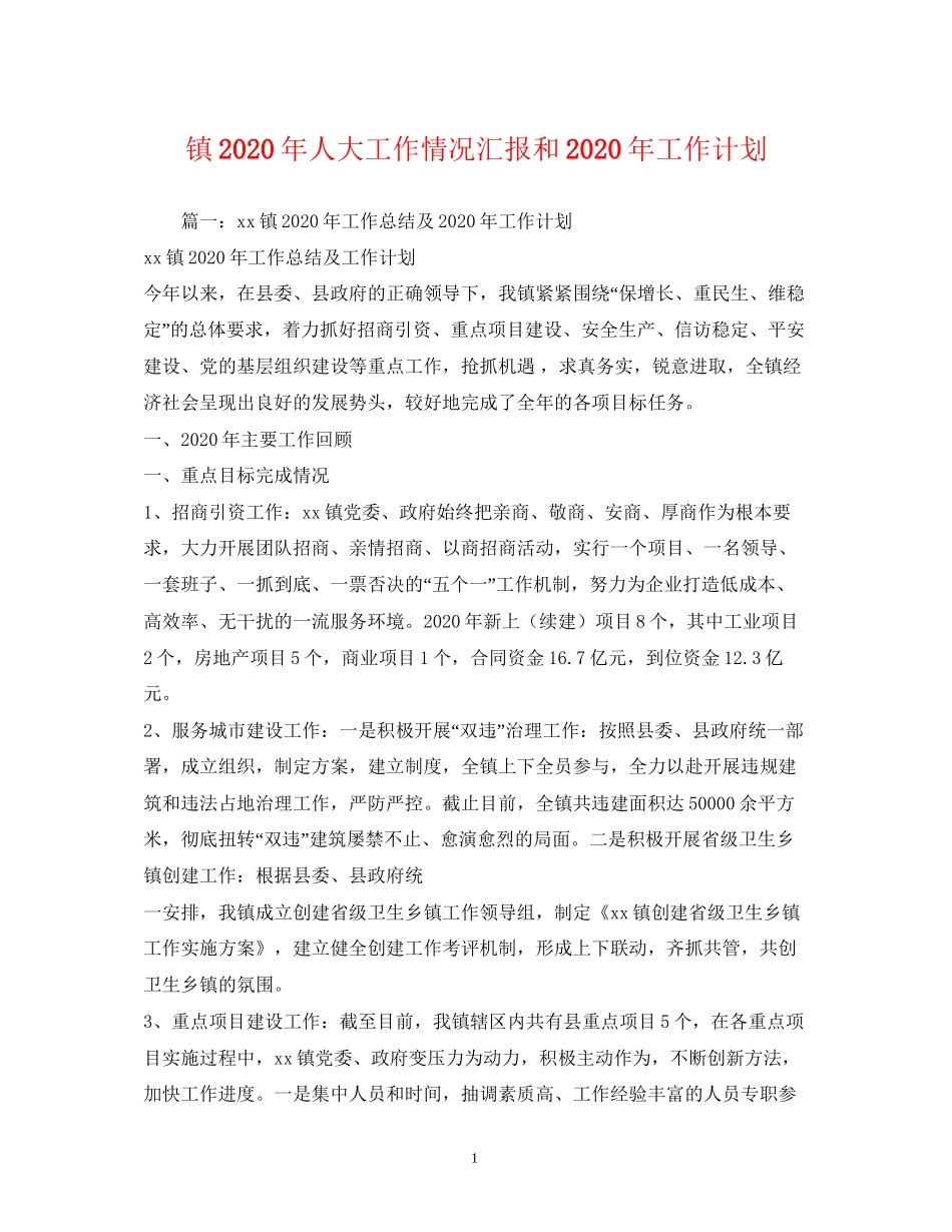 镇年人大工作情况汇报和年工作计划1)_第1页
