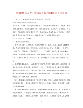 镇年人大工作情况汇报和年工作计划1)