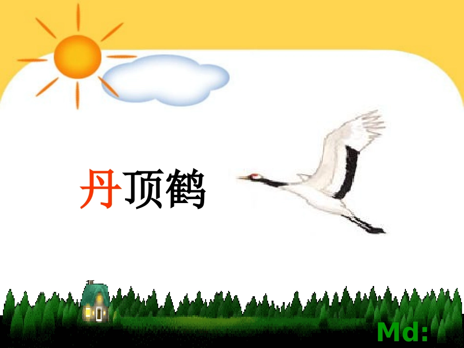 美丽的丹顶鹤(第一课时)2_第2页