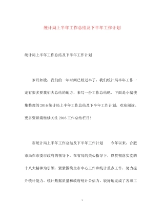 统计局上半年工作总结及下半年工作计划2