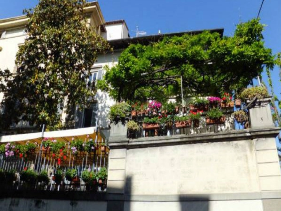 自己的花是给别人看的太阳城_第2页