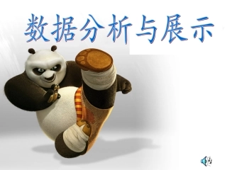 数据分析与展示