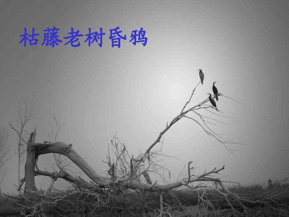 盲孩子和他的影子 (2)_第3页