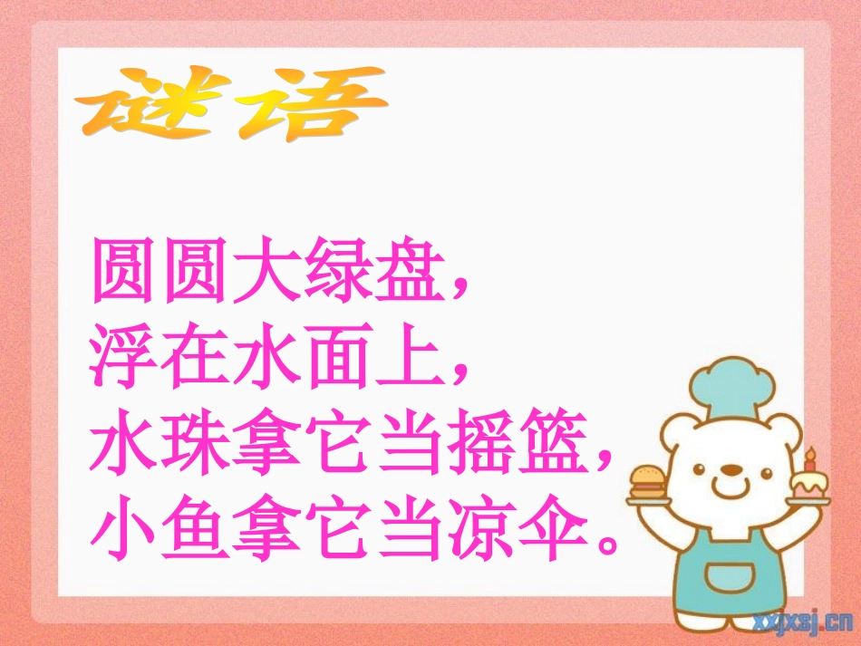 荷叶圆圆（修改）_第2页